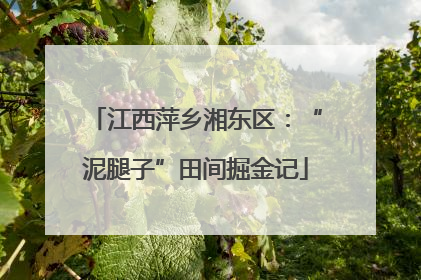 江西萍乡湘东区：“泥腿子”田间掘金记