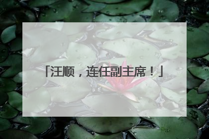 汪顺，连任副主席！