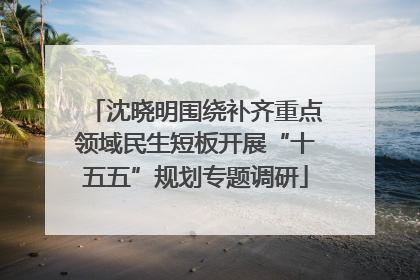 沈晓明围绕补齐重点领域民生短板开展“十五五”规划专题调研