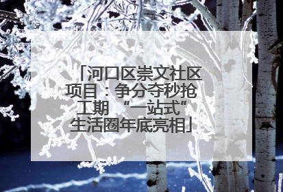 河口区崇文社区项目：争分夺秒抢工期 “一站式”生活圈年底亮相
