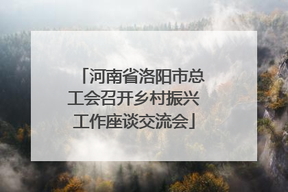 河南省洛阳市总工会召开乡村振兴工作座谈交流会