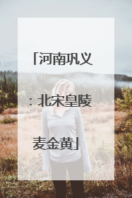 河南巩义：北宋皇陵麦金黄