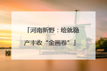河南新野：绘就稳产丰收“金画卷”
