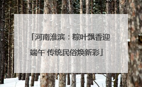 河南淮滨：粽叶飘香迎端午 传统民俗焕新彩