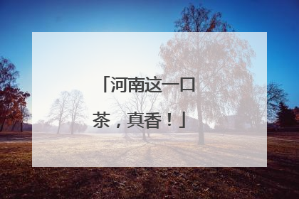 河南这一口茶，真香！