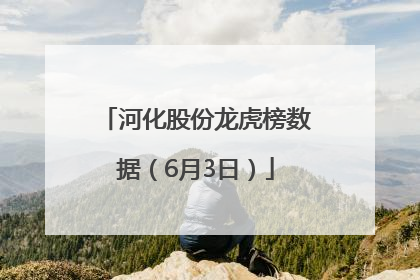 河化股份龙虎榜数据（6月3日）