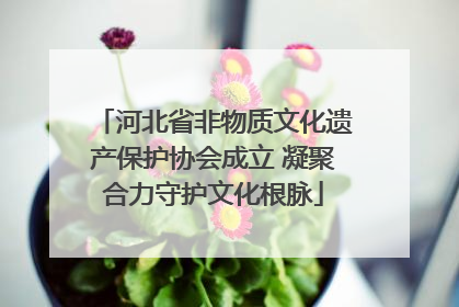 河北省非物质文化遗产保护协会成立 凝聚合力守护文化根脉