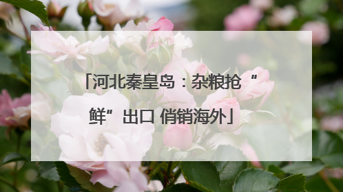 河北秦皇岛：杂粮抢“鲜”出口 俏销海外