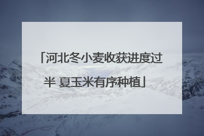 河北冬小麦收获进度过半 夏玉米有序种植