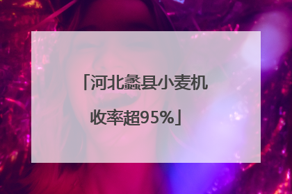 河北蠡县小麦机收率超95%