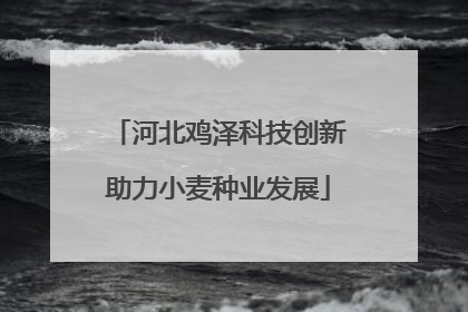 河北鸡泽科技创新助力小麦种业发展