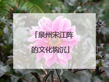 泉州宋江阵的文化钩沉