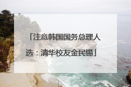 注意韩国国务总理人选：清华校友金民锡