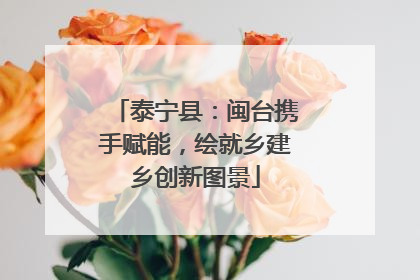 泰宁县：闽台携手赋能，绘就乡建乡创新图景