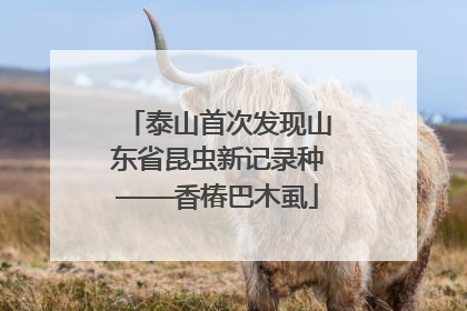 泰山首次发现山东省昆虫新记录种——香椿巴木虱