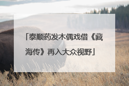 泰顺药发木偶戏借《藏海传》再入大众视野