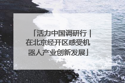 活力中国调研行｜在北京经开区感受机器人产业创新发展
