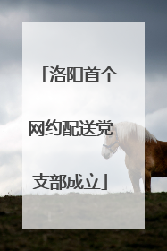 洛阳首个网约配送党支部成立