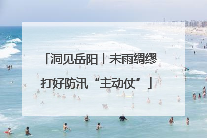 洞见岳阳丨未雨绸缪 打好防汛“主动仗”