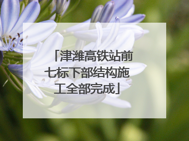 津潍高铁站前七标下部结构施工全部完成