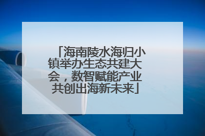 海南陵水海归小镇举办生态共建大会，数智赋能产业共创出海新未来