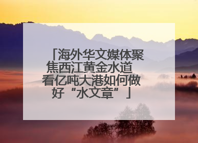 海外华文媒体聚焦西江黄金水道 看亿吨大港如何做好“水文章”