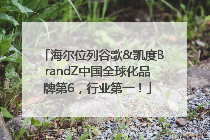海尔位列谷歌&凯度BrandZ中国全球化品牌第6，行业第一！