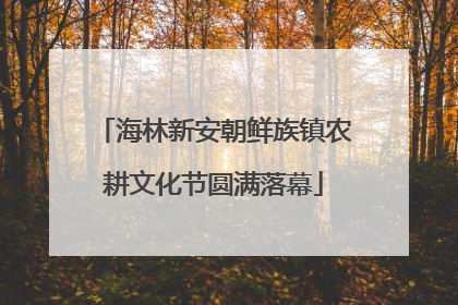 海林新安朝鲜族镇农耕文化节圆满落幕