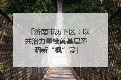 济南市历下区：以共治力量绘就基层矛调新“枫”景