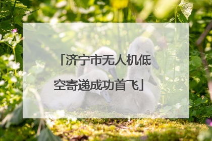 济宁市无人机低空寄递成功首飞