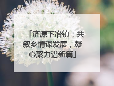 济源下冶镇：共叙乡情谋发展，凝心聚力谱新篇