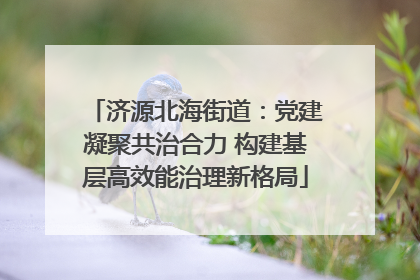 济源北海街道：党建凝聚共治合力 构建基层高效能治理新格局