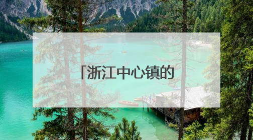浙江中心镇的“工业重镇”，长啥样？