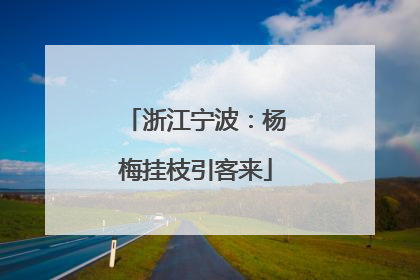 浙江宁波：杨梅挂枝引客来