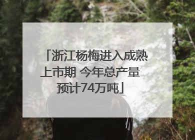 浙江杨梅进入成熟上市期 今年总产量预计74万吨