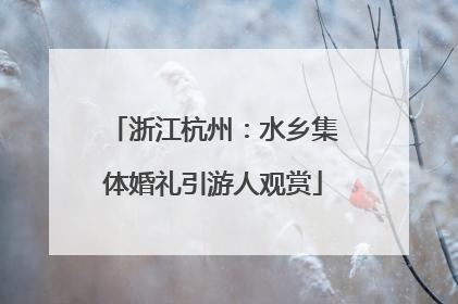浙江杭州：水乡集体婚礼引游人观赏