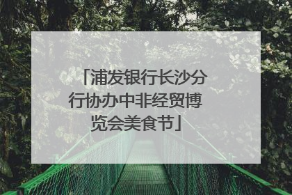 浦发银行长沙分行协办中非经贸博览会美食节