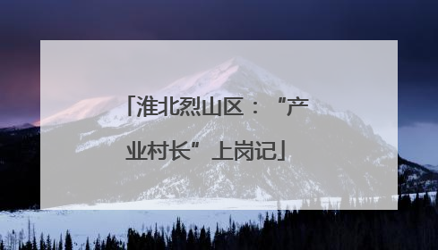 淮北烈山区：“产业村长”上岗记