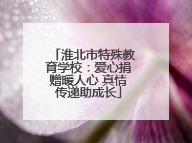 淮北市特殊教育学校：爱心捐赠暖人心 真情传递助成长