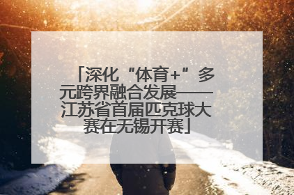深化“体育+”多元跨界融合发展——江苏省首届匹克球大赛在无锡开赛