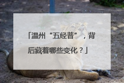 温州“五经普”，背后藏着哪些变化？