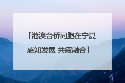 港澳台侨同胞在宁夏感知发展 共叙融合