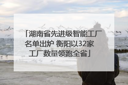 湖南省先进级智能工厂名单出炉 衡阳以32家工厂数量领跑全省