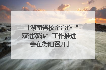 湖南省校企合作“双进双转”工作推进会在衡阳召开