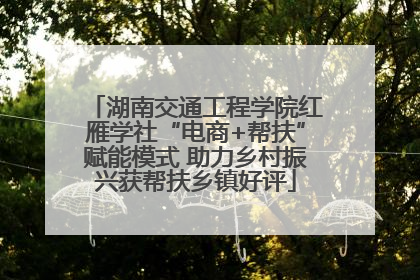 湖南交通工程学院红雁学社“电商+帮扶”赋能模式 助力乡村振兴获帮扶乡镇好评