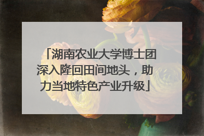 湖南农业大学博士团深入隆回田间地头，助力当地特色产业升级