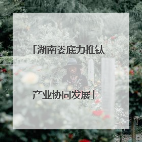 湖南娄底力推钛产业协同发展