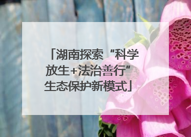 湖南探索“科学放生+法治善行”生态保护新模式