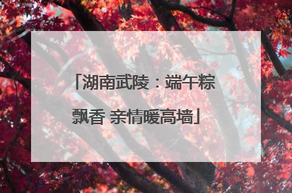 湖南武陵：端午粽飘香 亲情暖高墙