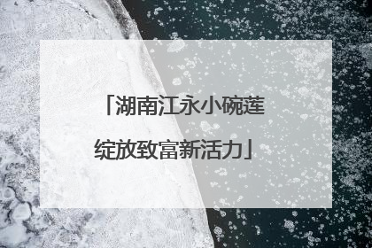 湖南江永小碗莲绽放致富新活力